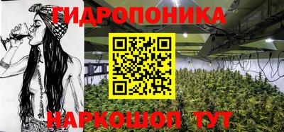 шишки Ипатово