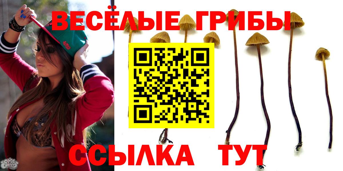 Псилоцибиновые грибы мицелий  Вход с VPN  купить  цена  Галлюциногенные грибы Psilocybe  Шарыпово 